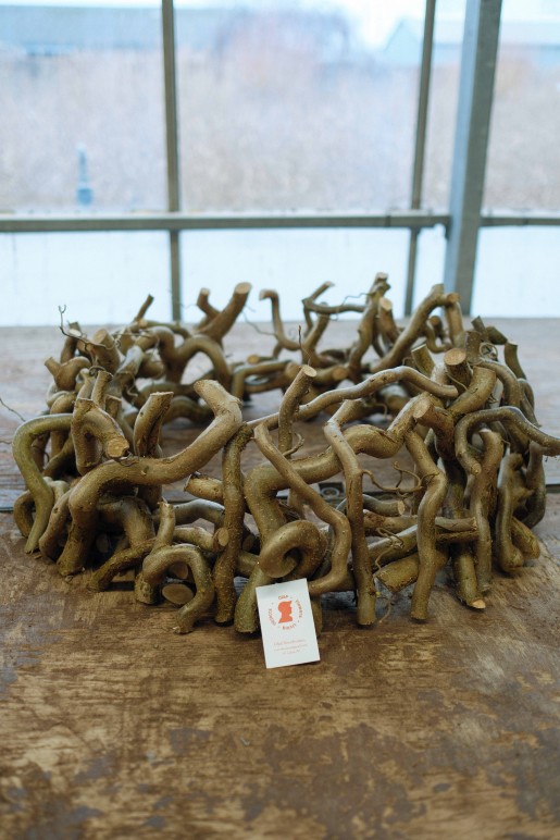 Corylus kransen